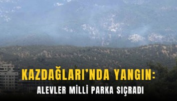 Kazdağları’nda yangın: Alevler milli parka sıçradı