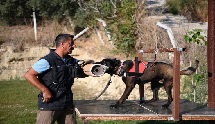 Kuşadası’nda arama köpekleri hayat kurtarıyor: Henüz yerini bulacak bir teknoloji yok