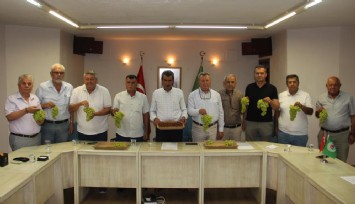 Manisa’da kuru üzümde hasat başladı: Üreticinin gözü taban fiyatta