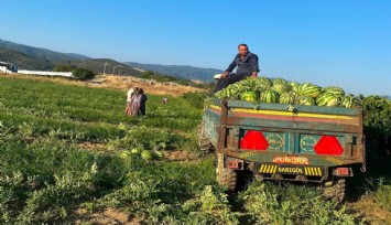 Manisa’da üreticiden tüketiciye: Kavun ve karpuzunu aracısız satıyor