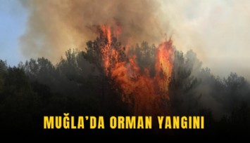 Muğla’da orman yangını