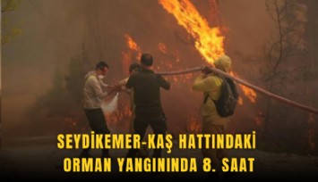Seydikemer-Kaş hattındaki orman yangınında 8. saat