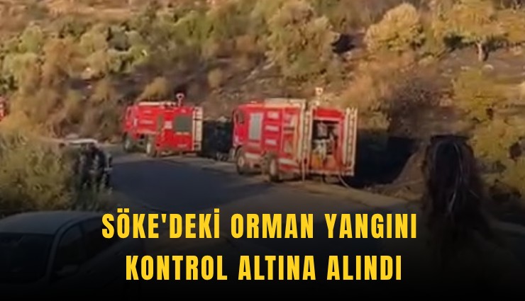 Söke'deki orman yangını kontrol altına alındı