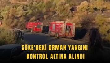 Söke'deki orman yangını kontrol altına alındı