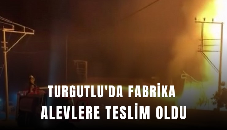 Turgutlu'da fabrika alevlere teslim oldu