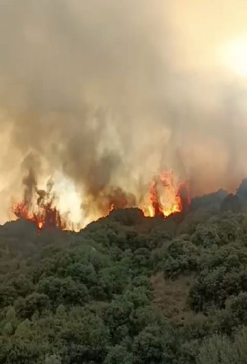 Turgutlu’da korkutan yangın: Havadan ve karadan müdahale sürüyor