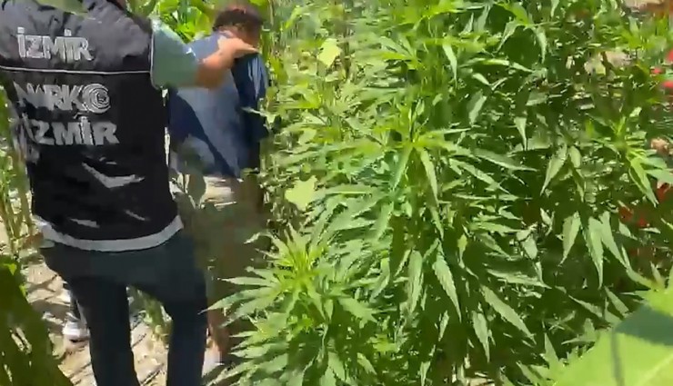 Urla'da zehir tacirlerine operasyon