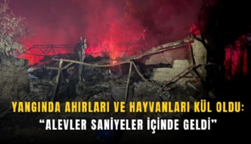 Yangında ahırları ve hayvanları kül oldu: Alevler saniyeler içinde geldi