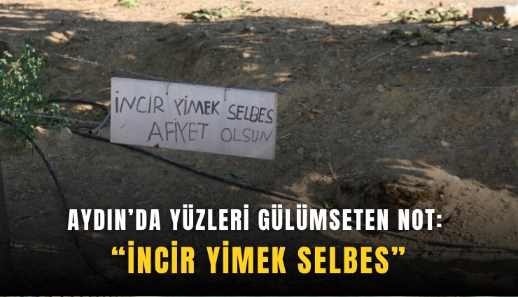 Aydın’da yüzleri gülümseten not: İncir yimek selbes