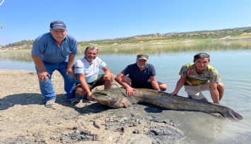 Baraj Gölü'nde 2 dev balık yakaladılar