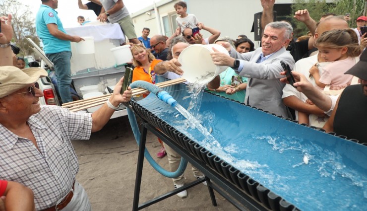 Bodrum’da balık festivali için geri sayım