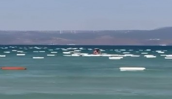 Çeşme’de denizi köpük kutular bastı