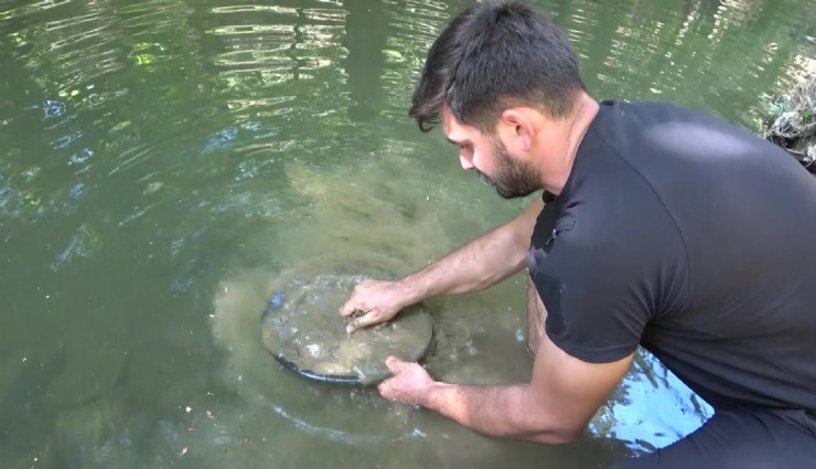 Derelerden her gün 5 gram altın bulmak mümkün
