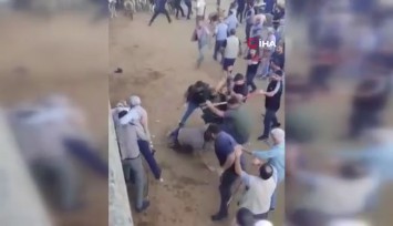 Diyarbakır’da canlı hayvan borsasında taşlı sopalı kavga: İşte o anlar