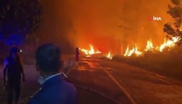 Endonezya’daki orman yangınları Güneydoğu Asya’yı dumana boğdu