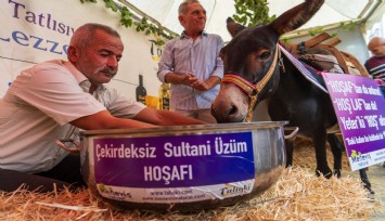 Eşeğe hoşaf içirdiler, ortaya renkli görüntüler çıktı