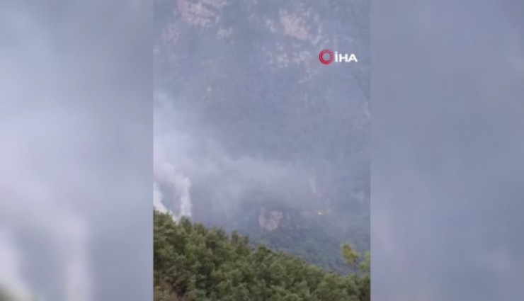 Hatay'da orman yangını: Ekiplerden havadan ve karadan müdahale