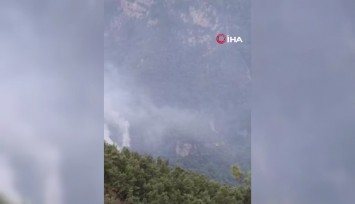 Hatay'da orman yangını: Ekiplerden havadan ve karadan müdahale
