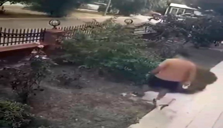 İzmir'de anne kediye tekme atan saldırgan yakalandı