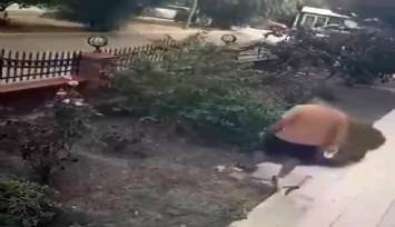 İzmir'de anne kediye tekme atan saldırgan yakalandı