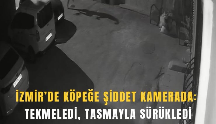 İzmir’de köpeğe şiddet kamerada: Tekmeledi, tasmayla sürükledi