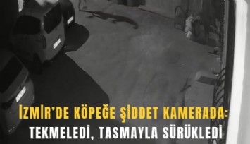İzmir’de köpeğe şiddet kamerada: Tekmeledi, tasmayla sürükledi