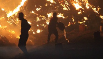 Kozan’da korkutan yangın: Vatandaşlar alevlere kovalarla müdahale etti