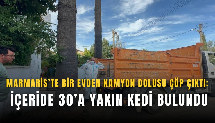 Marmaris’te bir evden kamyon dolusu çöp çıktı: İçeride 30’a yakın kedi bulundu