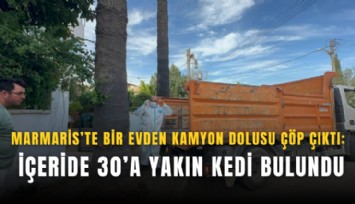 Marmaris’te bir evden kamyon dolusu çöp çıktı: İçeride 30’a yakın kedi bulundu