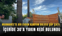 Marmaris’te bir evden kamyon dolusu çöp çıktı: İçeride 30’a yakın kedi bulundu
