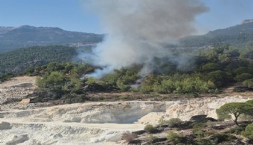 Muğla Milas'ta orman yangını alarmı