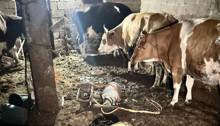 Nevşehir'de süt sağarken elektrik akımına kapılan kadın hayatını kaybetti