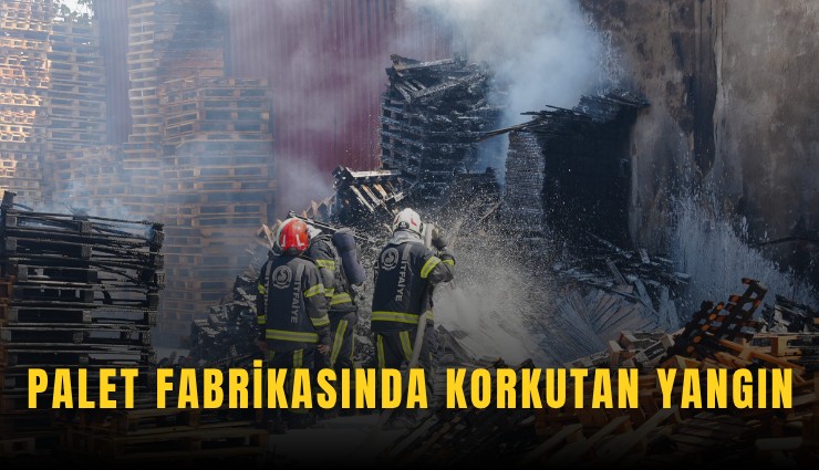 Palet fabrikasında korkutan yangın