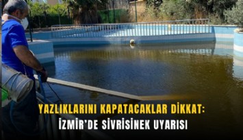 Yazlıklarını kapatacaklar dikkat: İzmir’de sivrisinek uyarısı